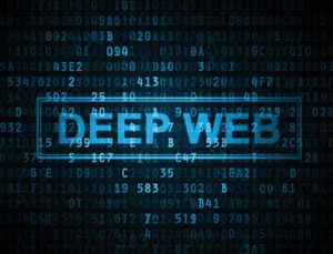 What Does Deep Web Purging Entail?